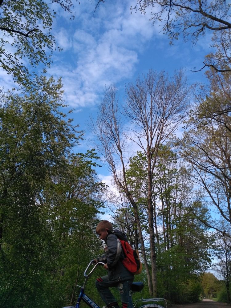 Photograph by Оксана Новосад