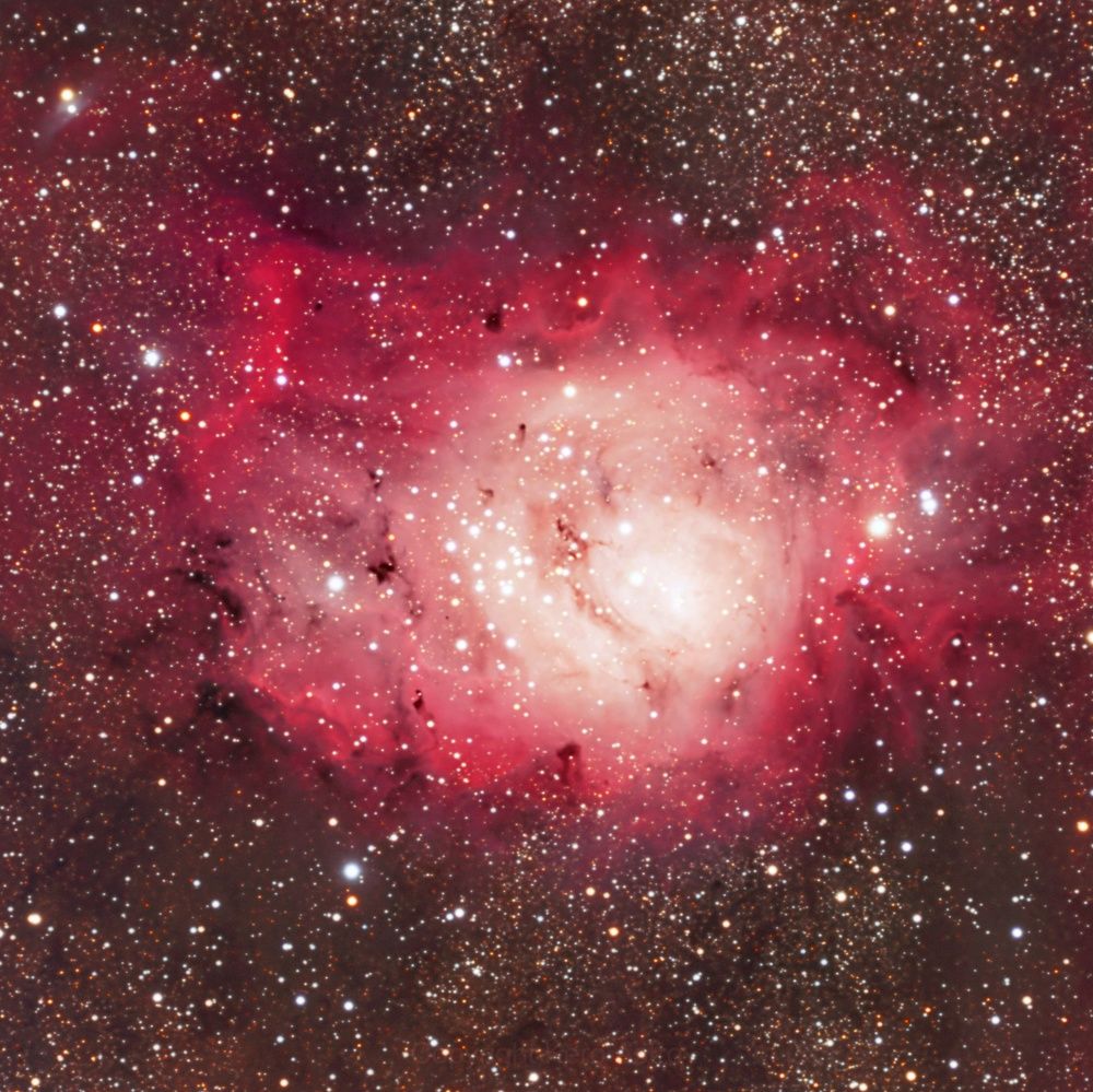 Photograph by Hong trinh phuc