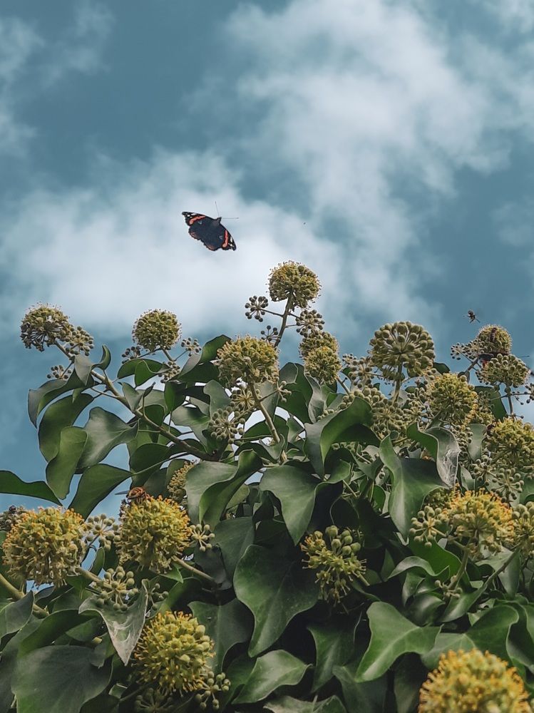 Photograph by George Pavlov