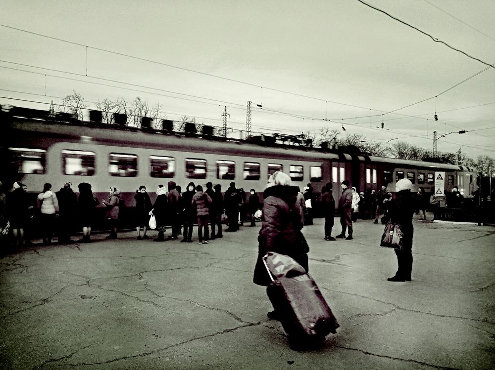 Photo #7347304