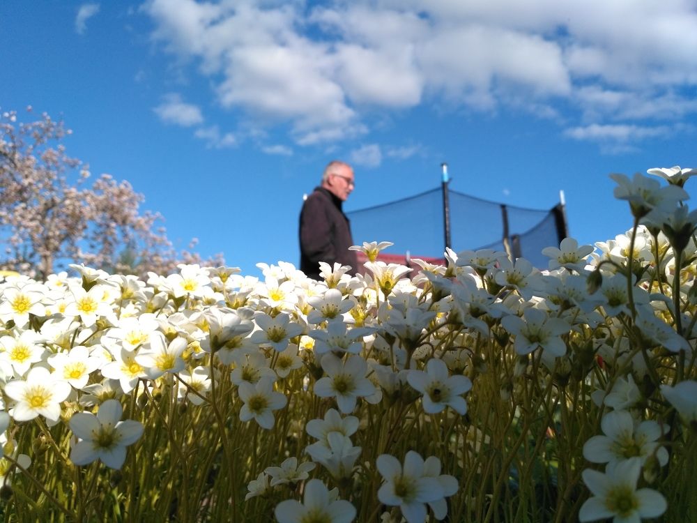 Photograph by Оксана Новосад