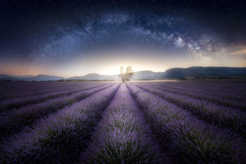 Фотография автора Daniel Trippolt