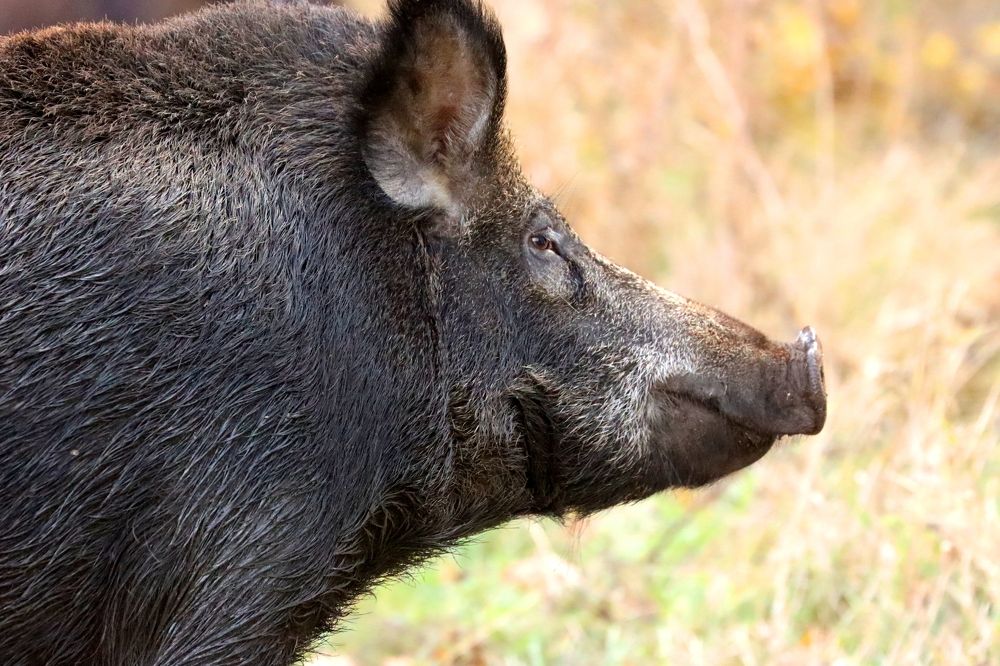 Photograph by Юлия Черкасова