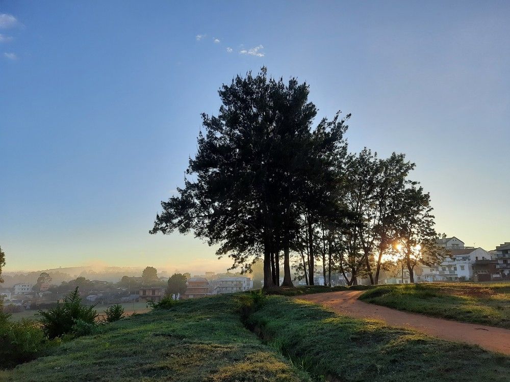 Photograph by Tah Afitahina