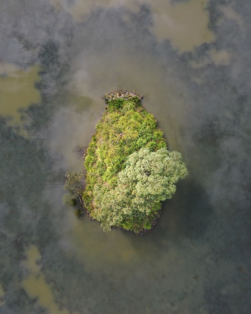 Фотография автора Dmitrijs Cernagovs