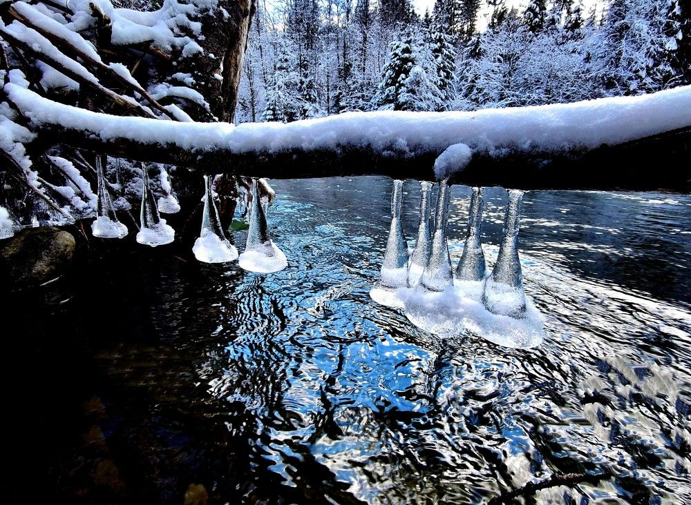 Photograph by Инна Макарчук