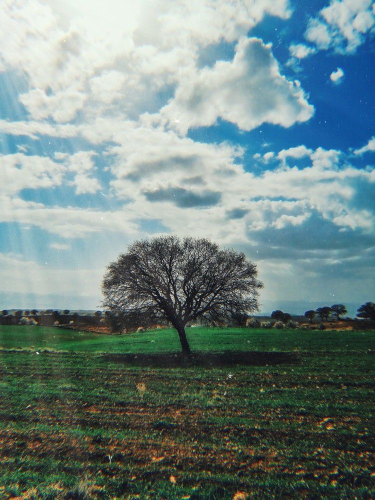 Photograph by amir feri