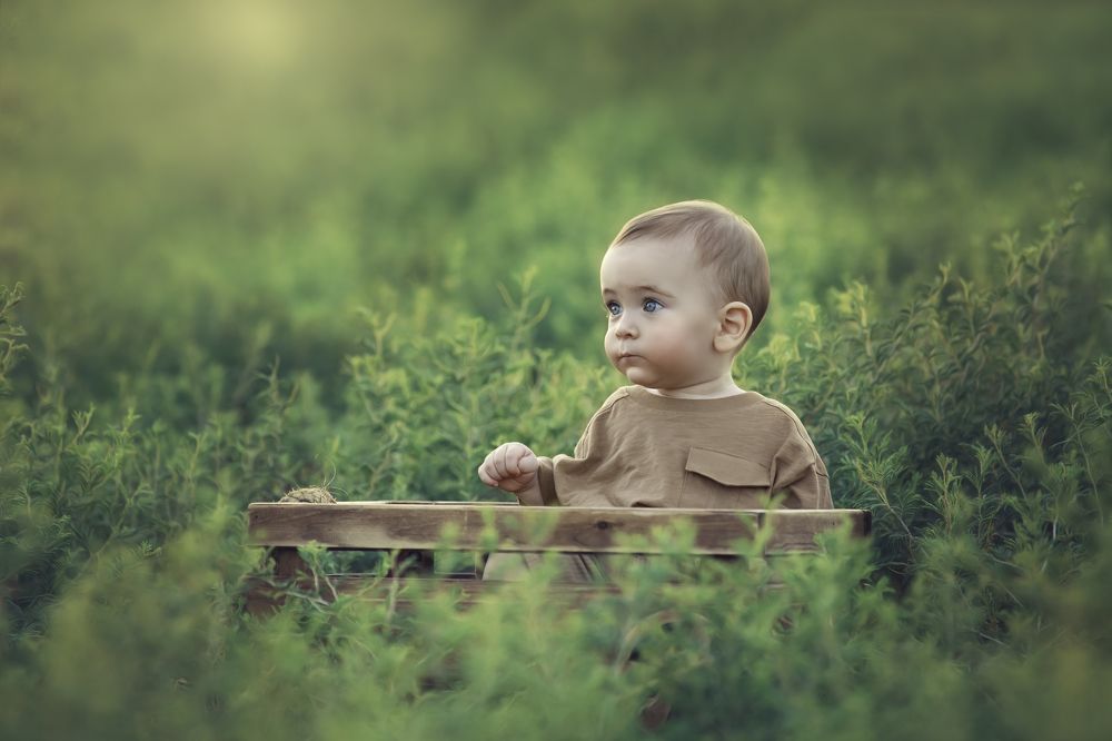 Photograph by Tahel Shenhav