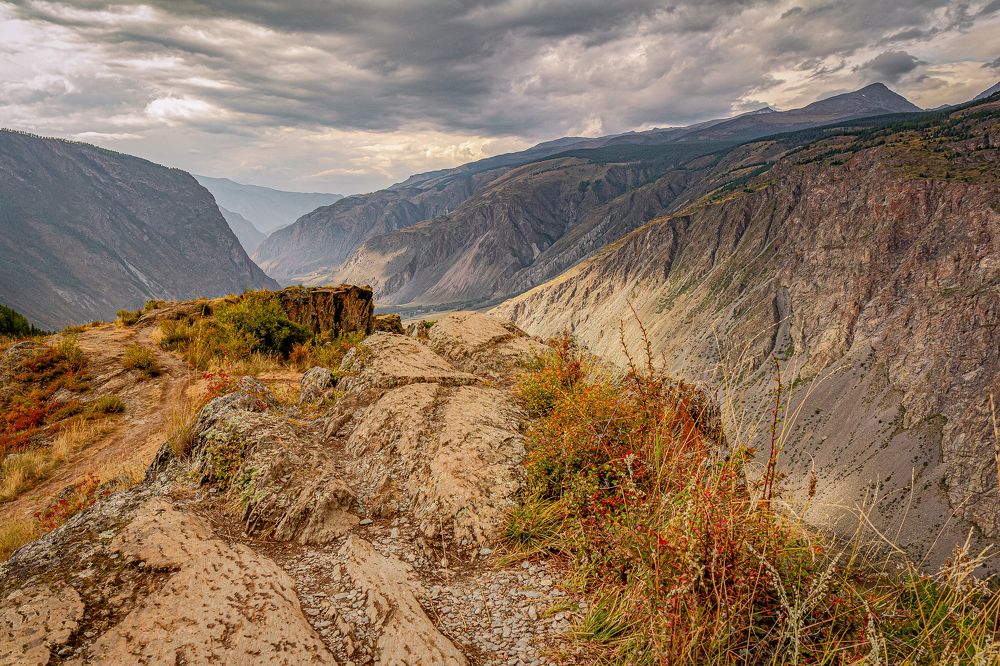 Photograph by Игорь Радионов