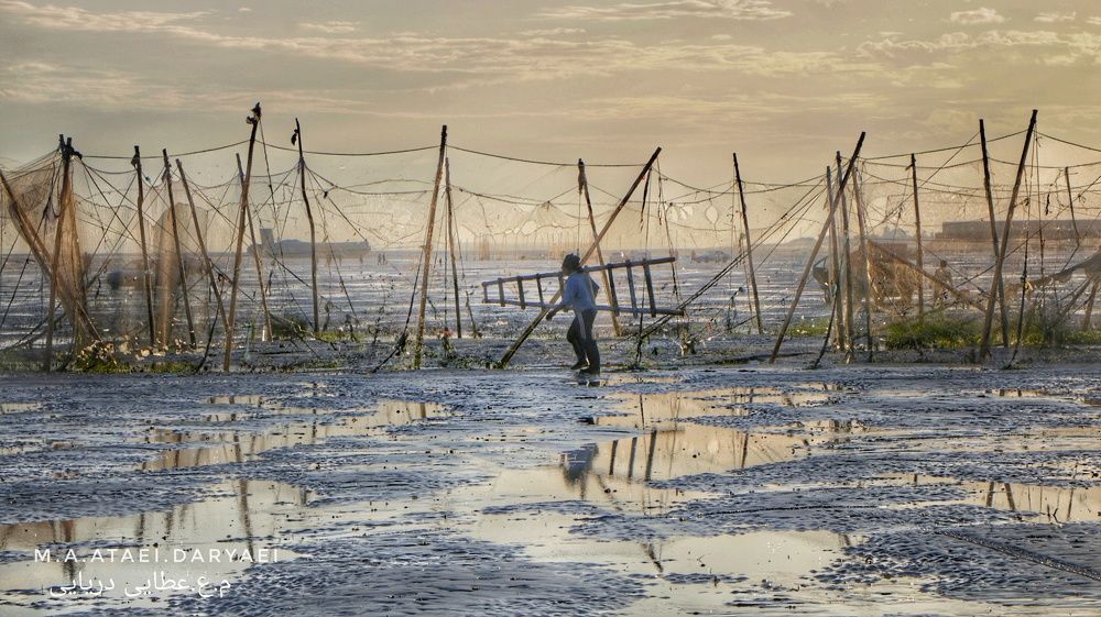 Photograph by Mohammad Ali Ataei Daryaei