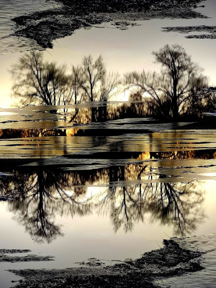 Photograph by Инна Макарчук