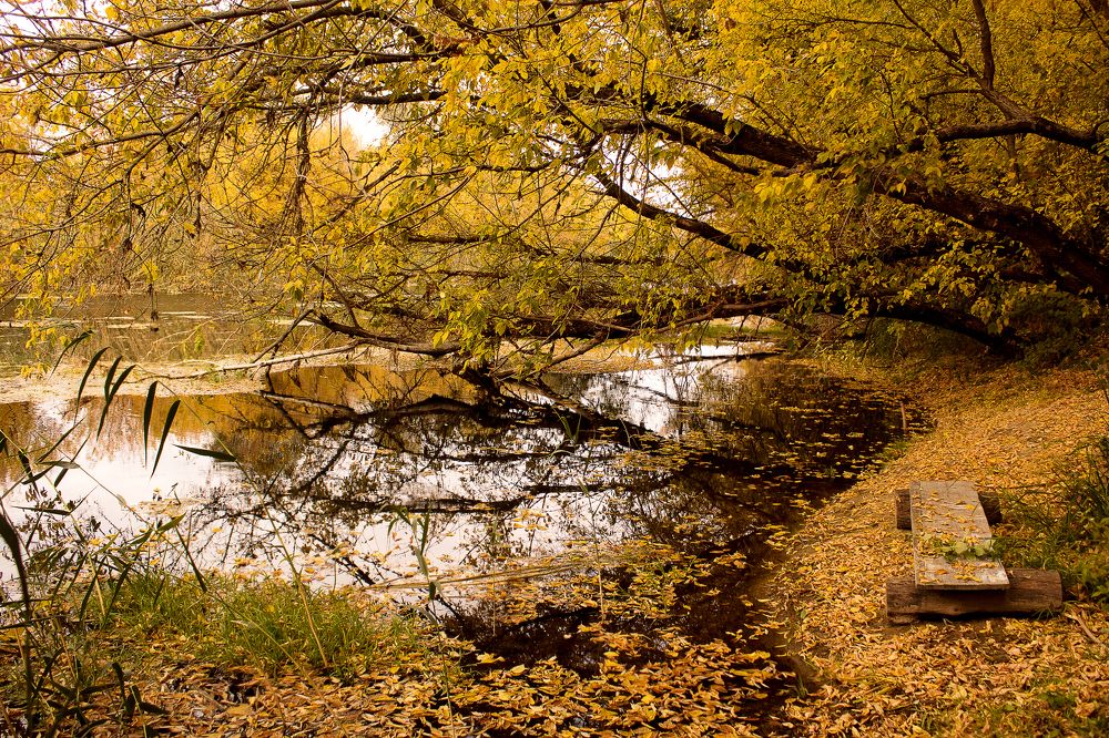 Photograph by Юлия Черкасова