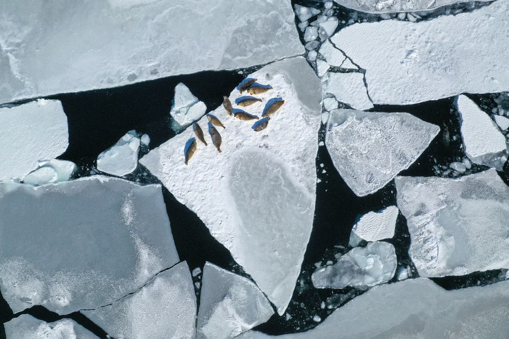 11 друзей Оушена / Ocean's Eleven