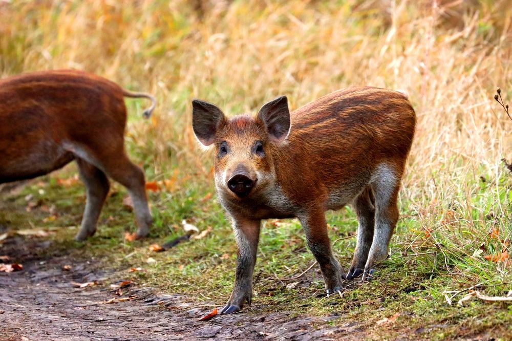 Photograph by Юлия Черкасова