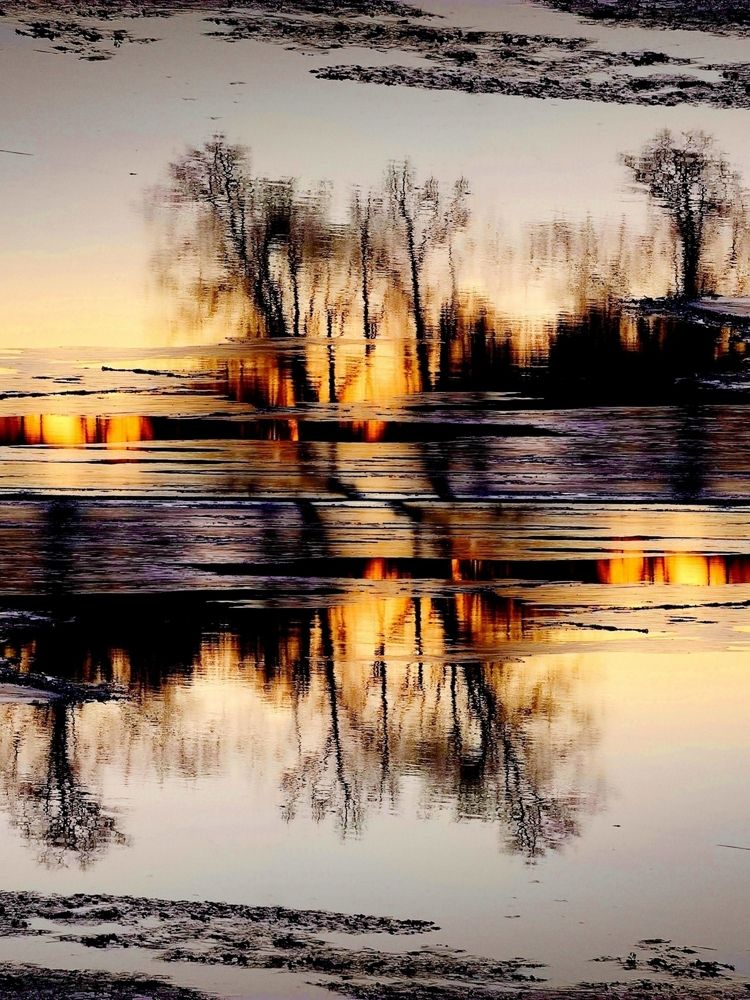 Photograph by Инна Макарчук