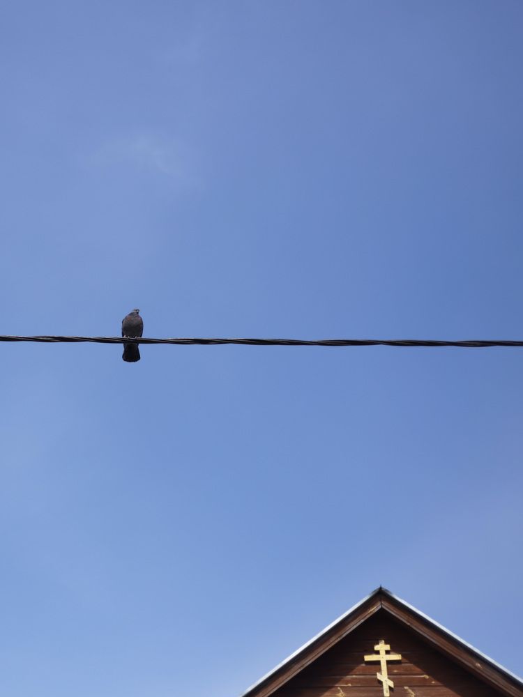 Photograph by Olga Vinogradova