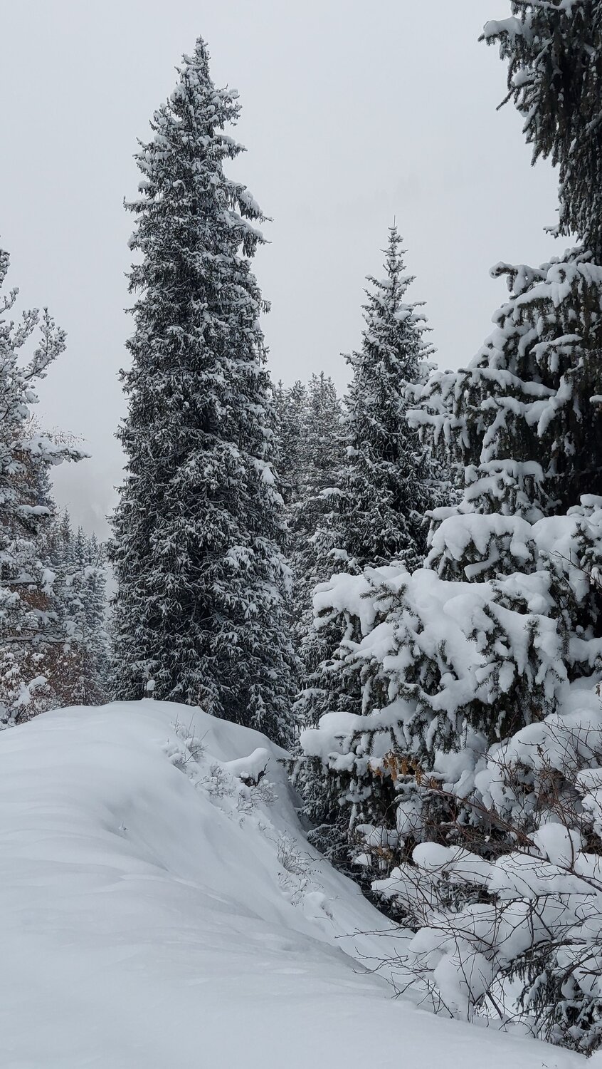 Photo #7347630