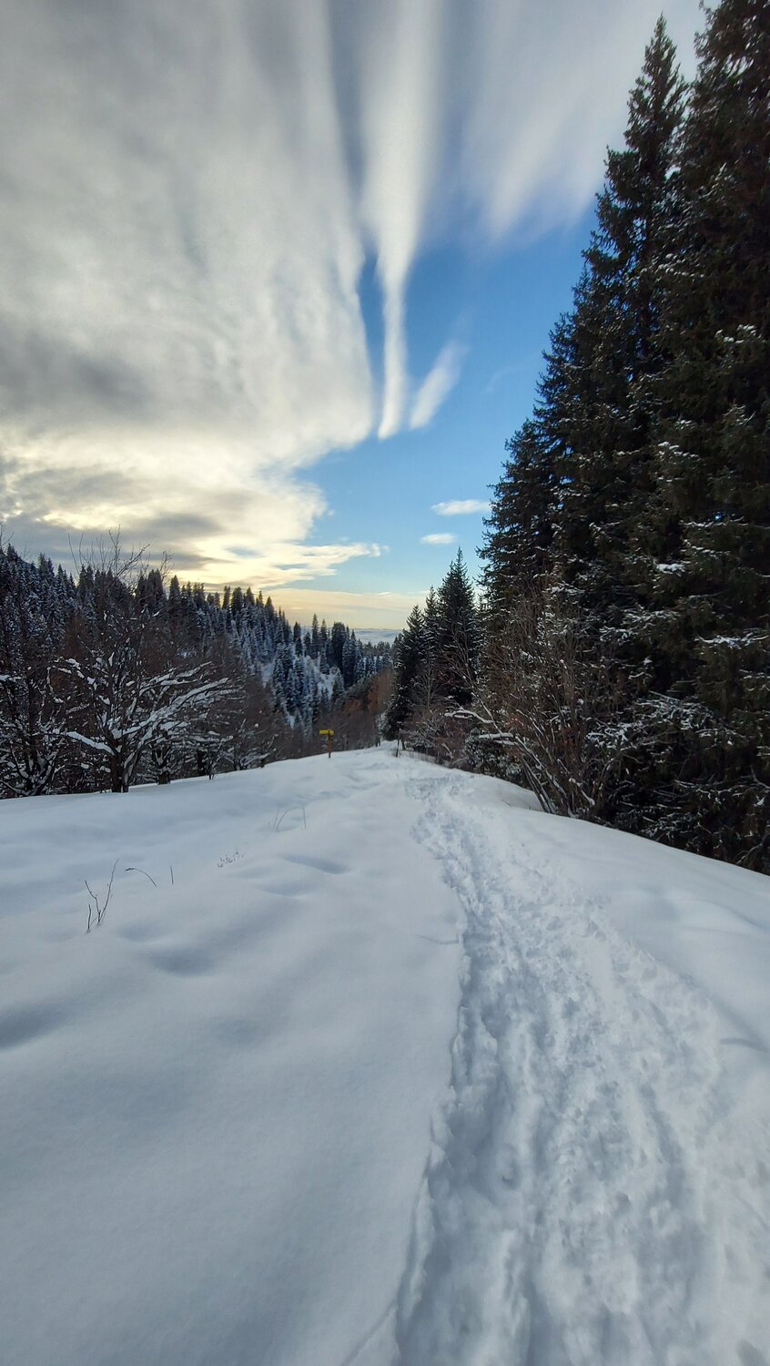 Photo #7347631