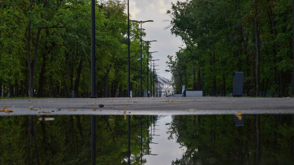 Photograph by Максим Кулешов