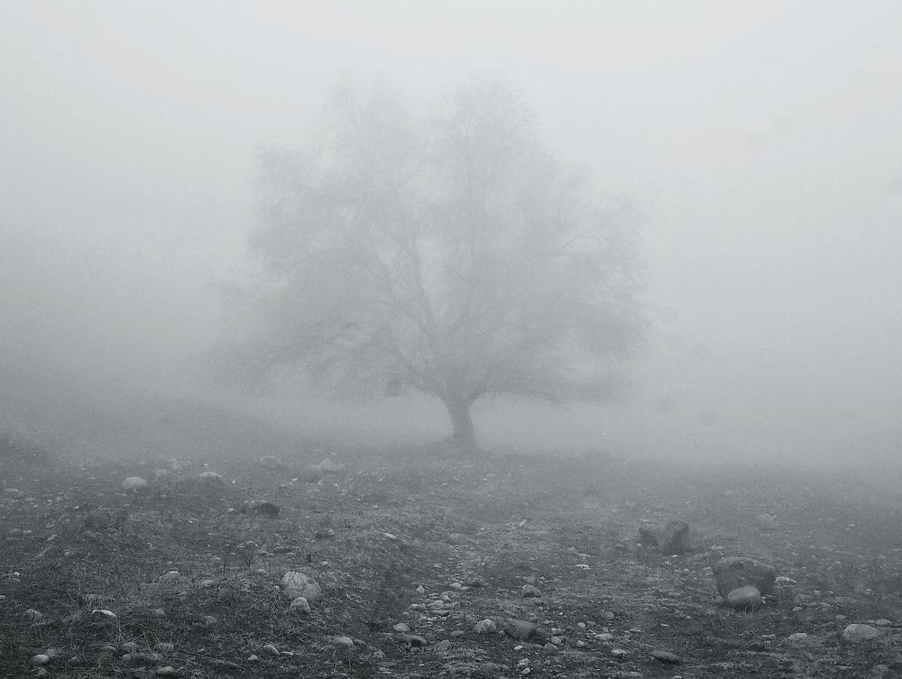 Photograph by Орынбек Асилбаев