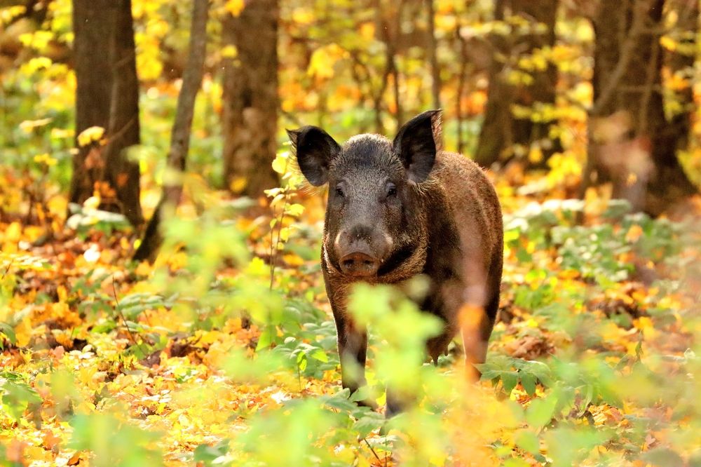 Photograph by Юлия Черкасова