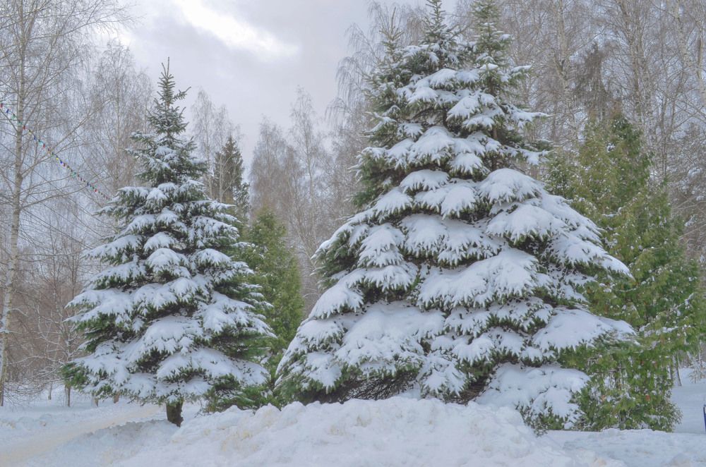 Photograph by Дмитрий Граждан