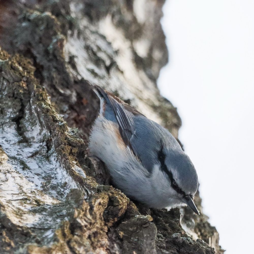 Photograph by Ирина Лисовец