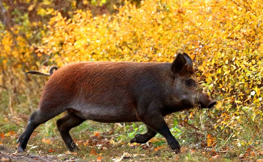 Photograph by Юлия Черкасова