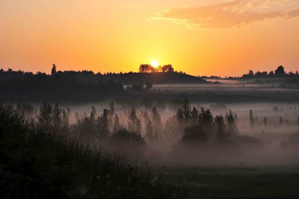 Photograph by Юрий Яковлев