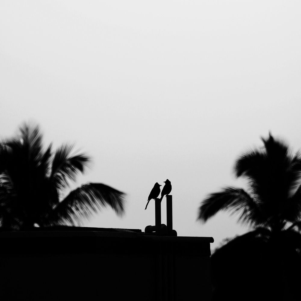 Photograph by Rudra Patel