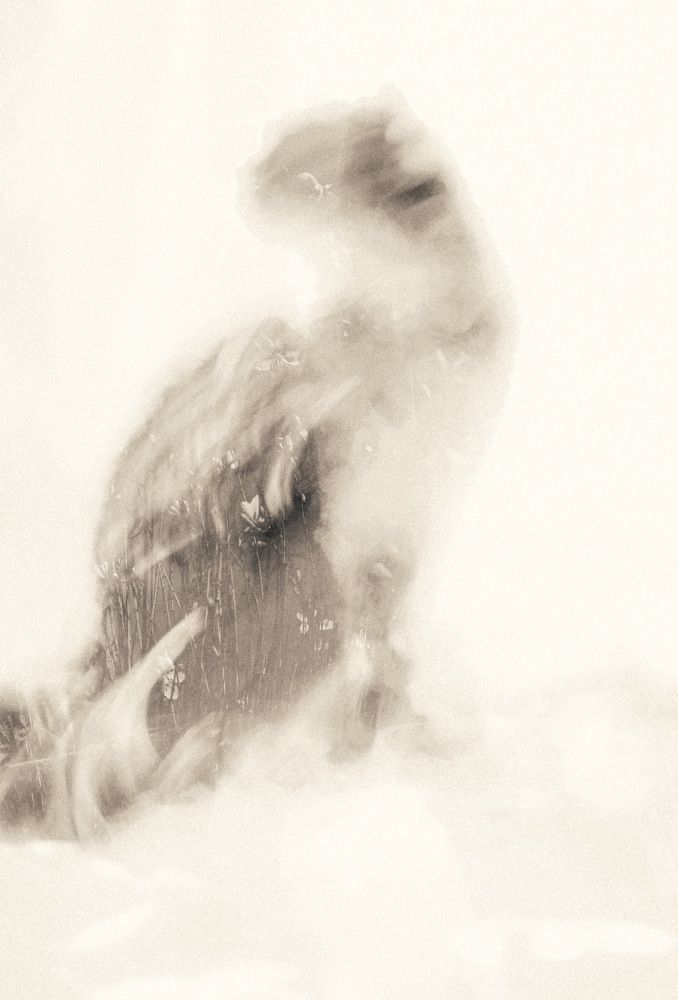 Photograph by Ирина Irina Warm Vision