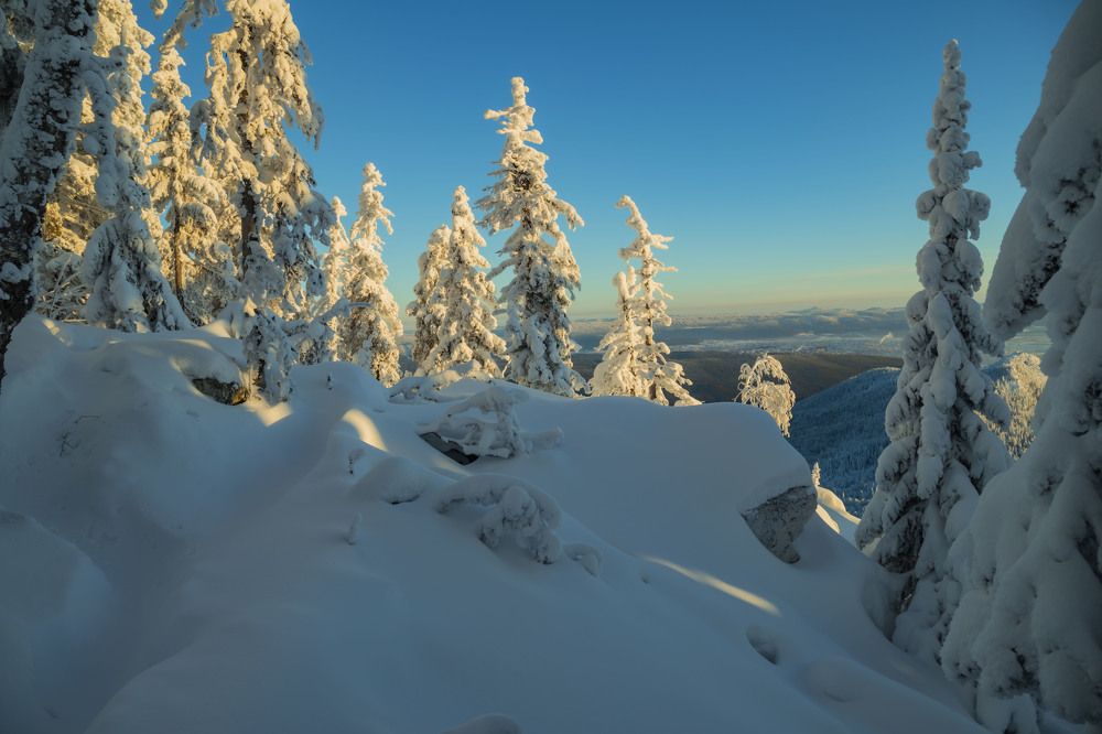 Photograph by Елена Перминова