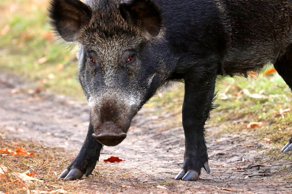 Photograph by Юлия Черкасова