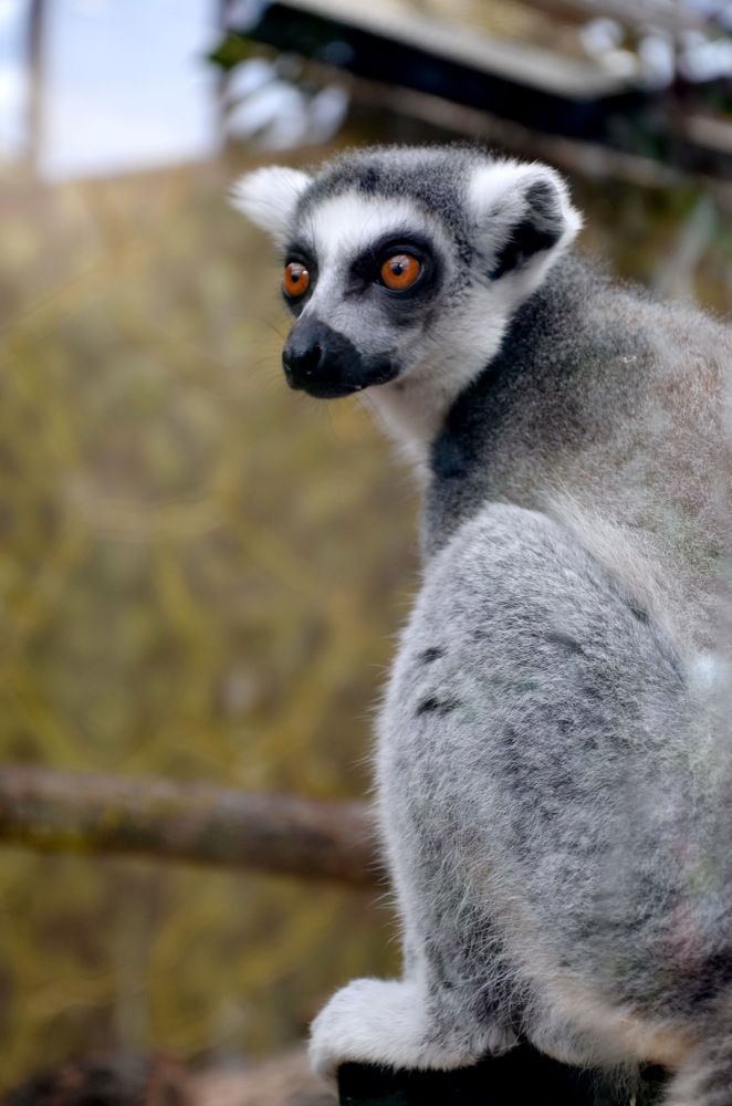 Photograph by Сергей