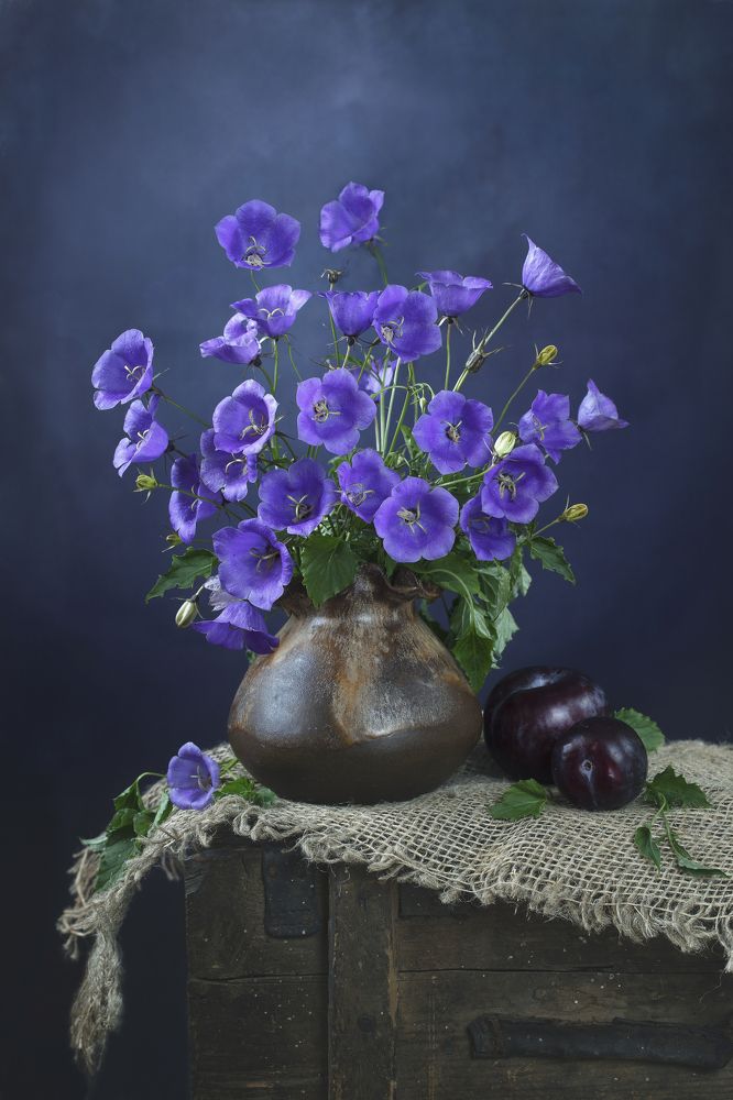 Photograph by Sonata Žemgulienė