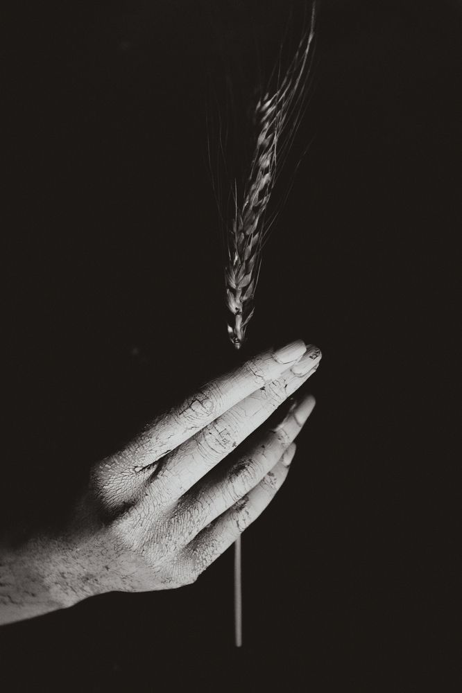 Photograph by Екатерина Мельникова