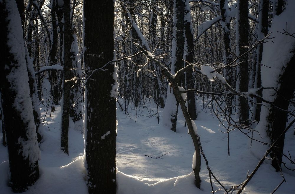 Photograph by Алла Никушкина