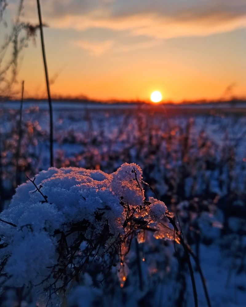 Photograph by Вадим Ковалев