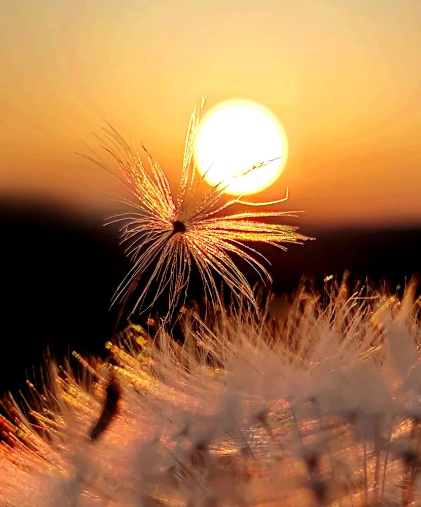 Photograph by Инна Макарчук