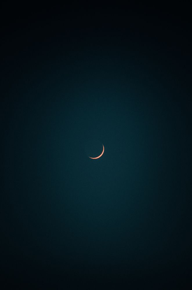 Photograph by Камиль