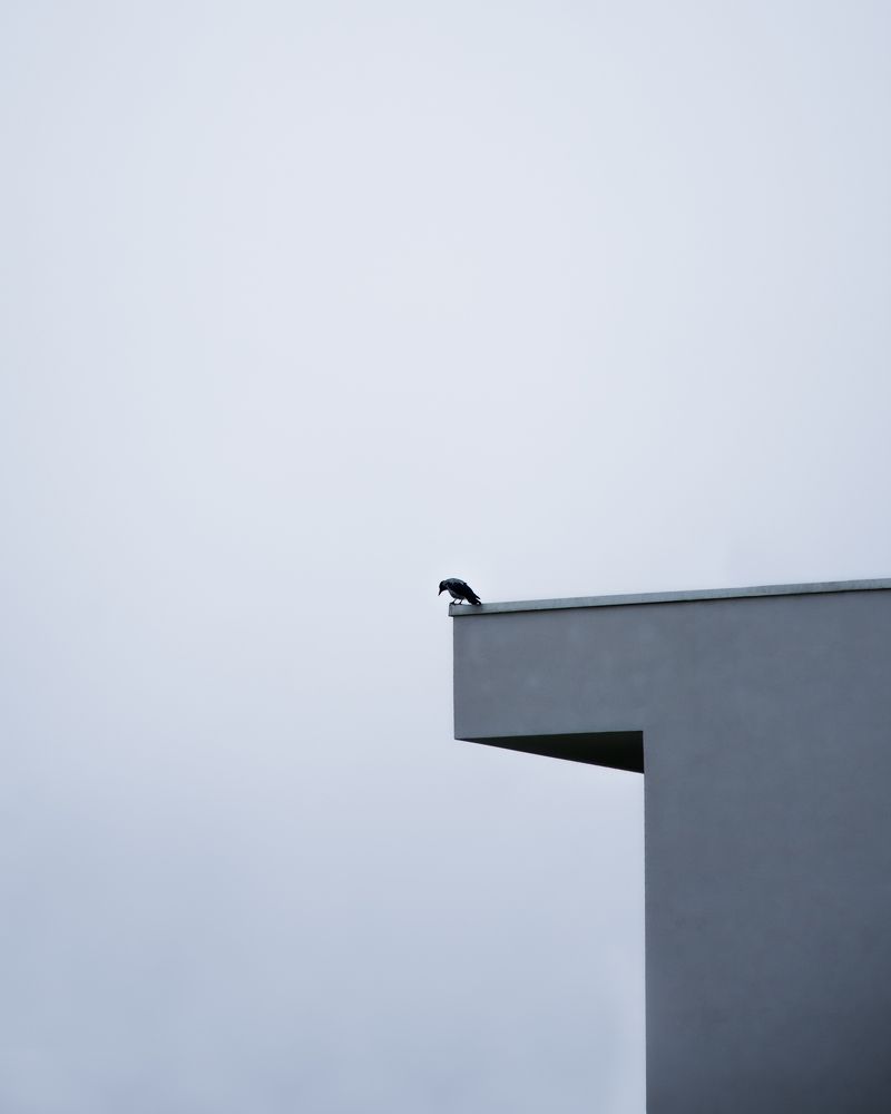 Photograph by Jernej Tratnik