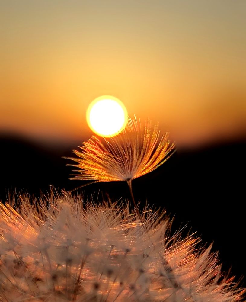 Photograph by Инна Макарчук