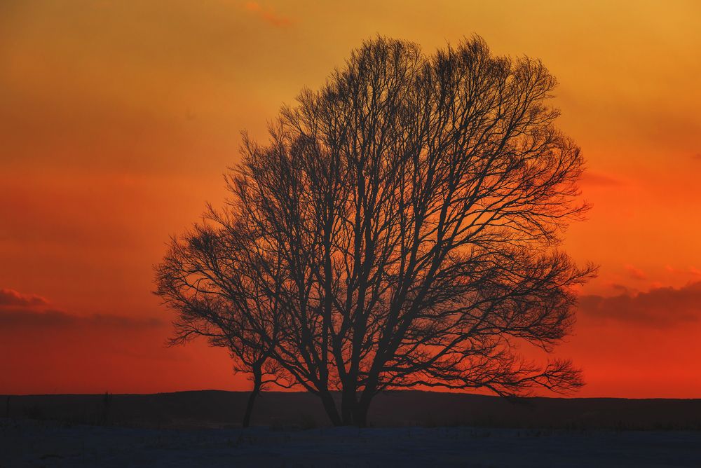 Photograph by Сигида Дмитрий