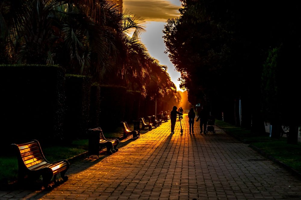 Photograph by Giga Kokoladze