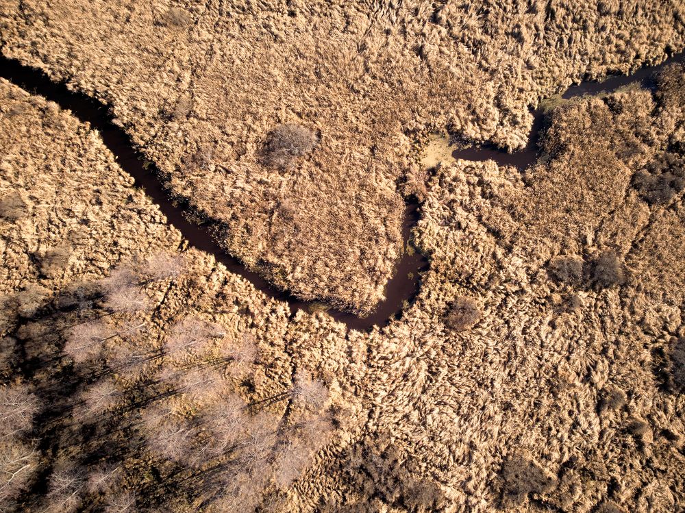 Болотные текстуры