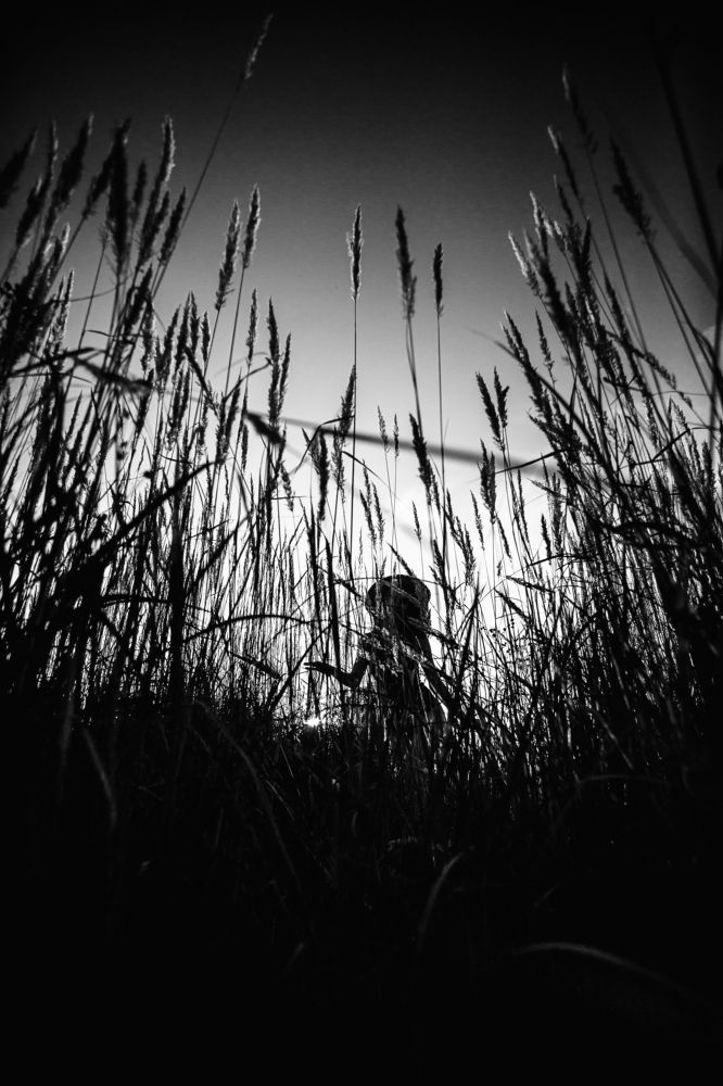 Photograph by Павел Байдаков