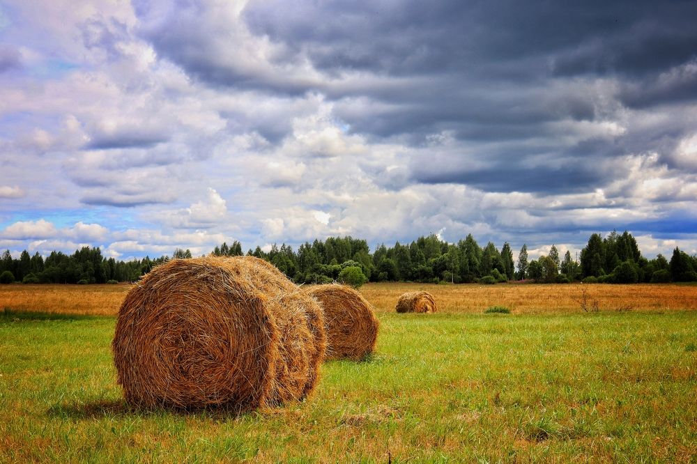 Photograph by Ирина Шумкова
