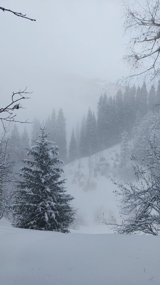 Photo #7348213