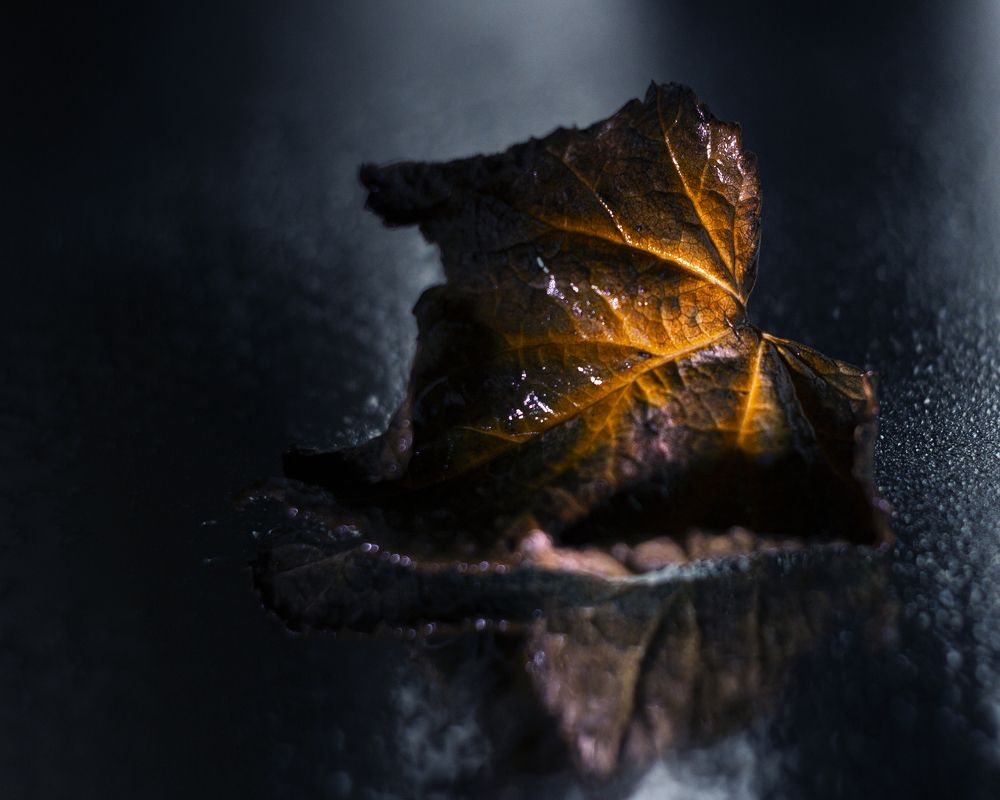 Photograph by Вадим Ковалев