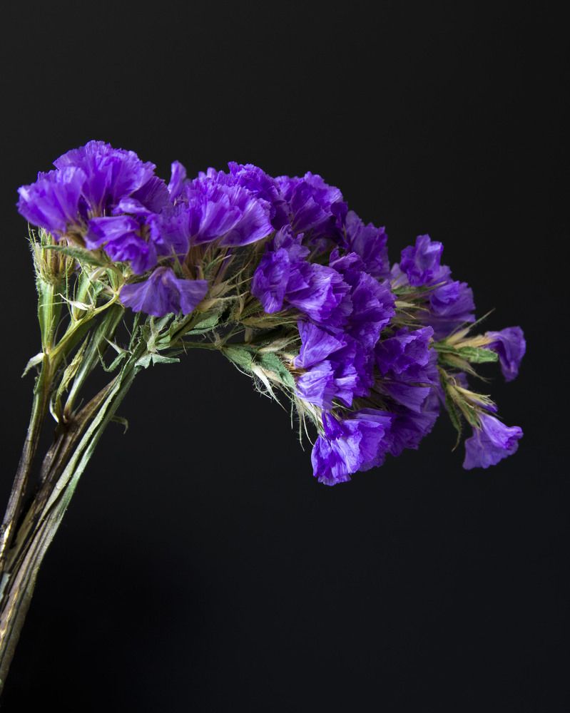 Photograph by Вадим Ковалев